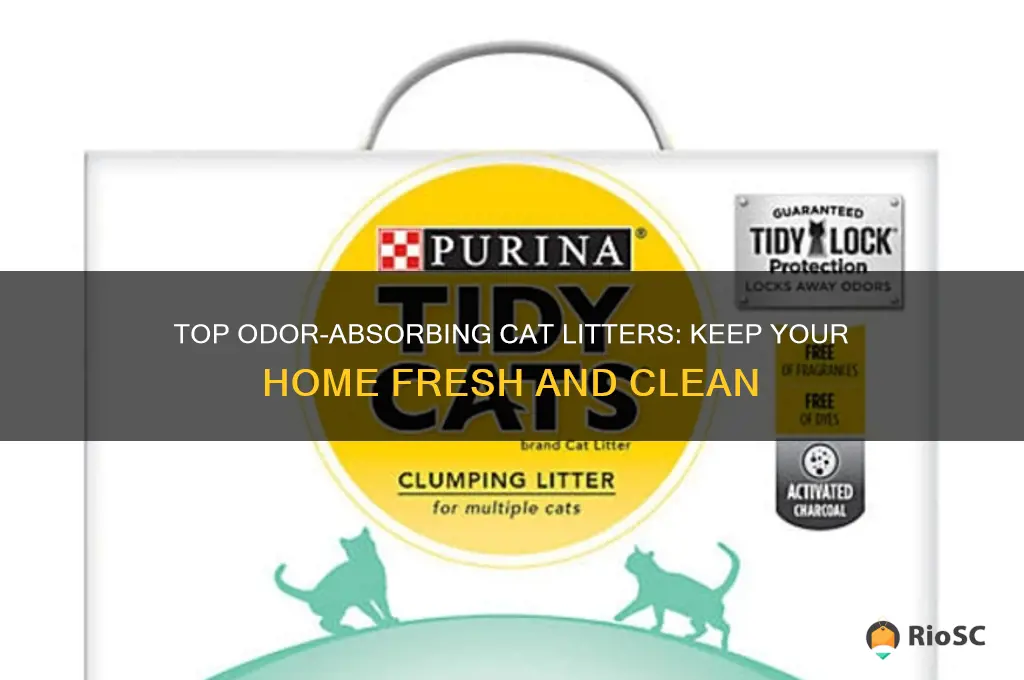 Cat Litter That Absorbs And Neutralizes Odor Reference: Top Odor Absorbing Cat Litters Keep Your Home Fresh And