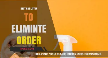 Fresh and Clean: Top Cat Litter Picks for Odor Elimination