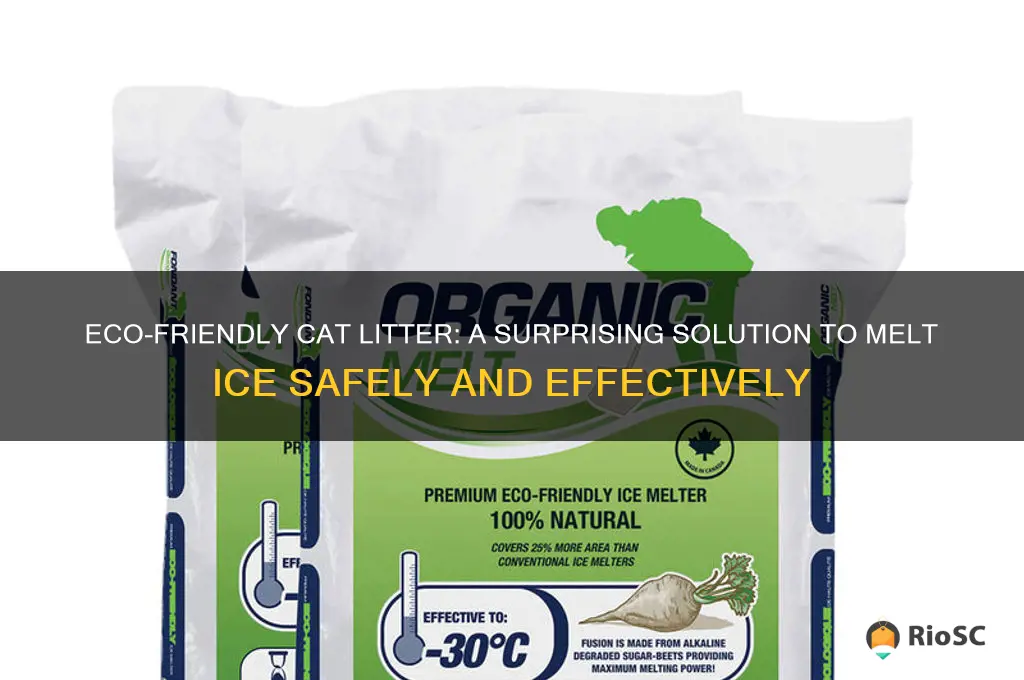 best cat litter to melt ice