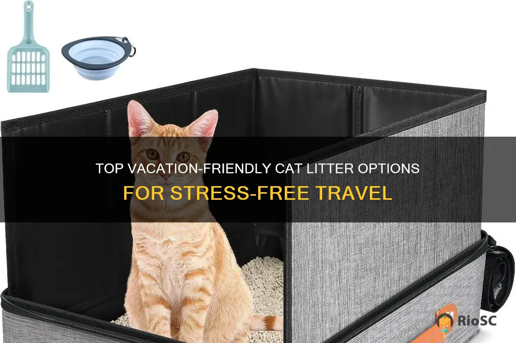 best cat litter to use while on vacation