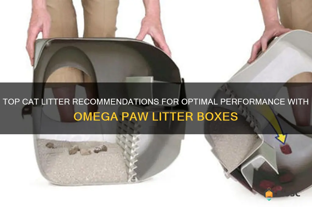 best cat litter to use with omega paw