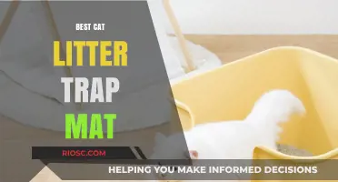 Top-Rated Cat Litter Trap Mats to Keep Your Floors Clean and Tidy