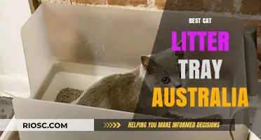 Top-Rated Cat Litter Trays in Australia: A Comprehensive Guide to Choosing the Best Option for Your Feline Friend