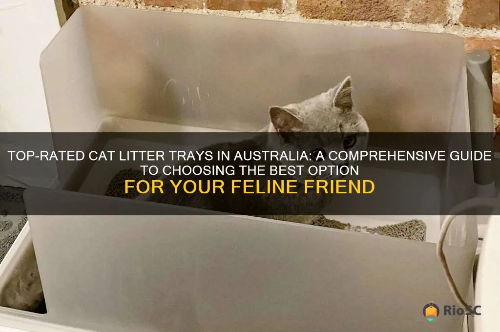 best cat litter tray australia
