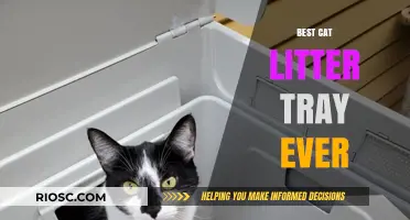Revolutionary Cat Litter Tray: The Ultimate Solution for Cleanliness and Convenience