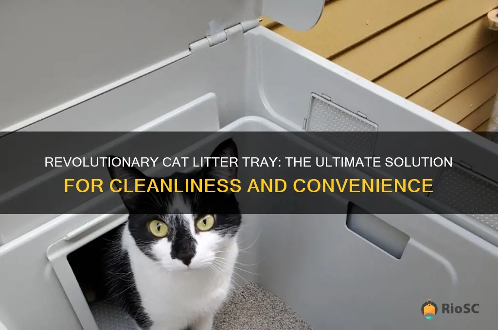 best cat litter tray ever