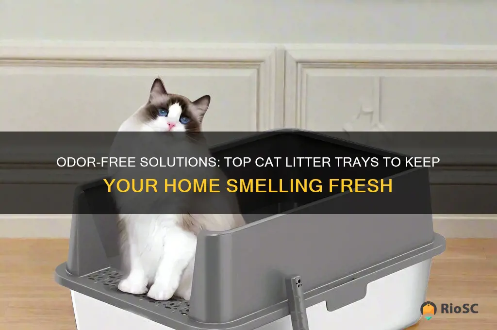 best cat litter tray for smell
