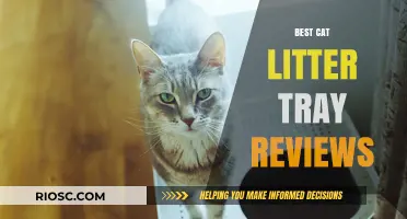 Top-Rated Cat Litter Trays: Expert Reviews for the Best Options in 2023