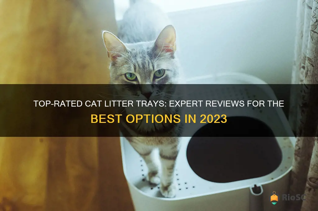 best cat litter tray reviews