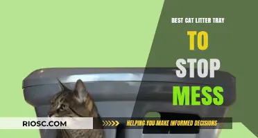Top Cat Litter Tray Solutions to Keep Your Home Mess-Free