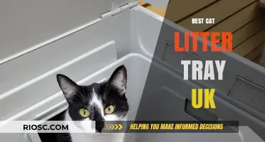 Top-Rated Cat Litter Trays in the UK: Finding the Perfect Fit for Your Feline Friend