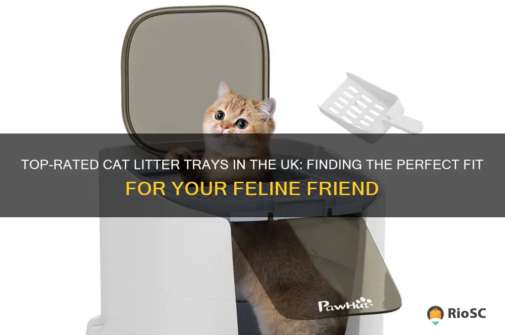 best cat litter tray uk