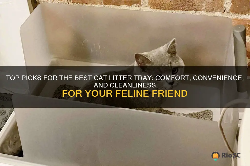 best cat litter tray