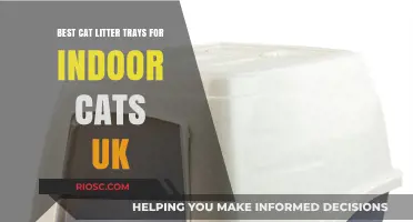 Top-Rated Cat Litter Trays for Indoor Cats in the UK: Comfort, Style, and Easy Cleaning