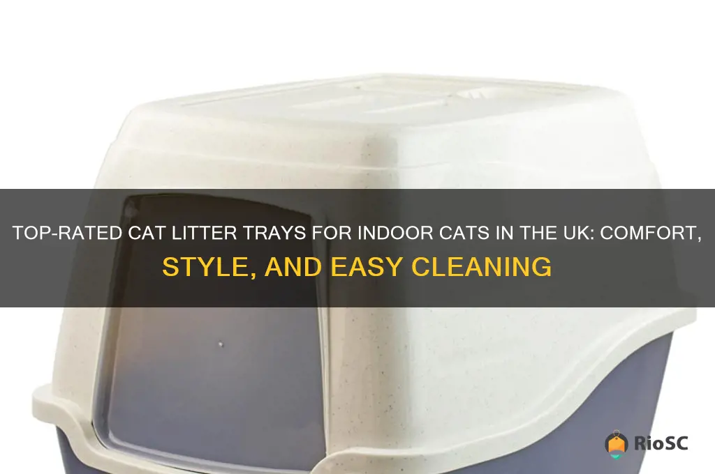 best cat litter trays for indoor cats uk