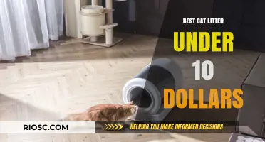 Affordable Purr-fection: Top Cat Litter Options for Under $10