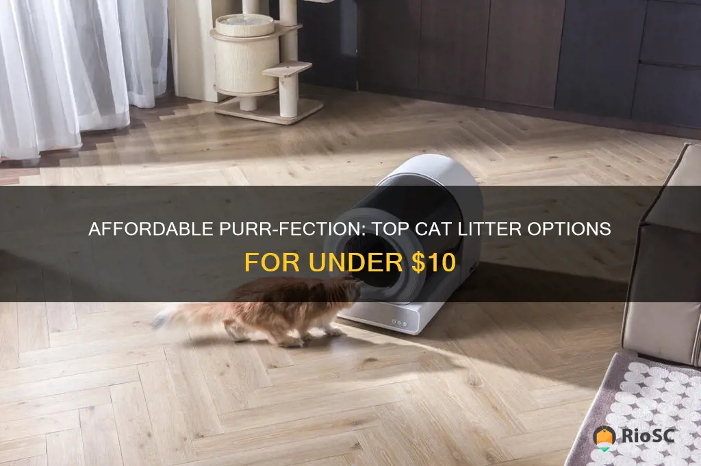 best cat litter under 10 dollars