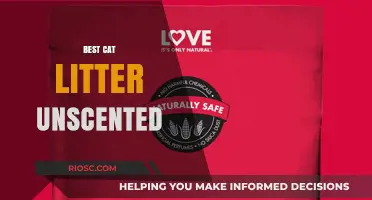 Top Unscenteed Cat Litter Options for a Fresh and Odor-Free Home