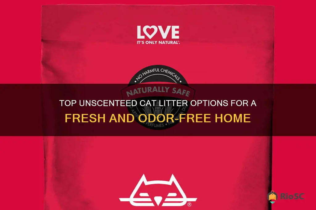best cat litter unscented