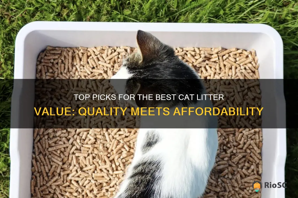 best cat litter value