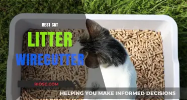 Top-Rated Cat Litter Picks: Wirecutter's Ultimate Guide to the Best Options for Your Feline Friend