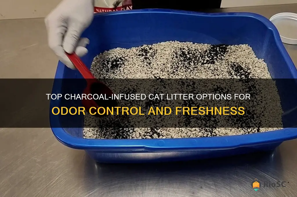 best cat litter with charcoal