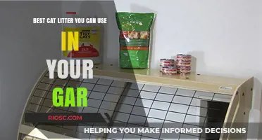 Top Cat Litter Options for Your Garage: Keep It Clean and Odor-Free