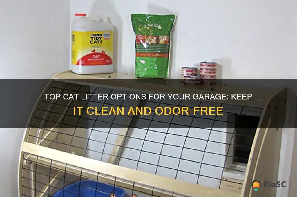 best cat litter you can use in your gar