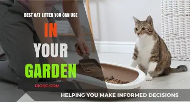 Eco-Friendly Gardening: The Best Cat Litter to Use in Your Garden