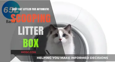 Top Picks: Best Cat Litter for Automatic Scooping Litter Boxes – Efficiency Meets Cleanliness