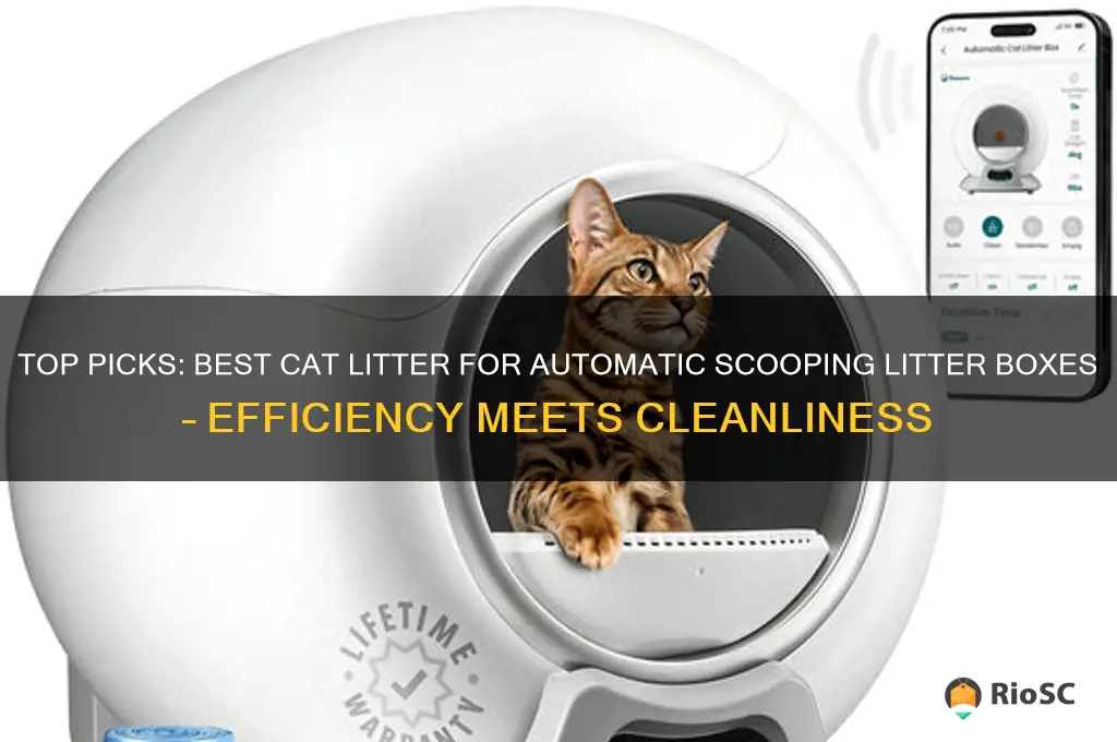 best cat littler for automatic scooping litter box