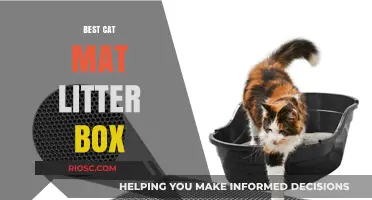 Top Picks for the Best Cat Mat Litter Box: Keep Your Home Clean and Your Cat Happy