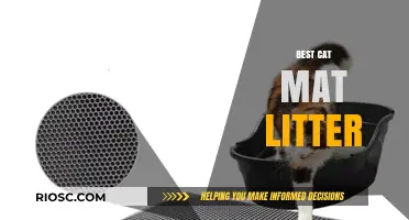 Top Picks for the Best Cat Litter Mat: Keep Your Home Clean and Your Cat Happy