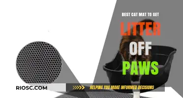 Pawsitively Clean: Top Cat Mat Picks to Keep Litter Off Your Feline’s Paws