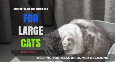 Top Picks: Best Cat Mats and Litter Boxes for Large Cats to Keep Your Home Clean and Comfortable