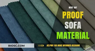 Durable and Scratch-Resistant: The Ultimate Guide to Cat-Proof Sofa Materials