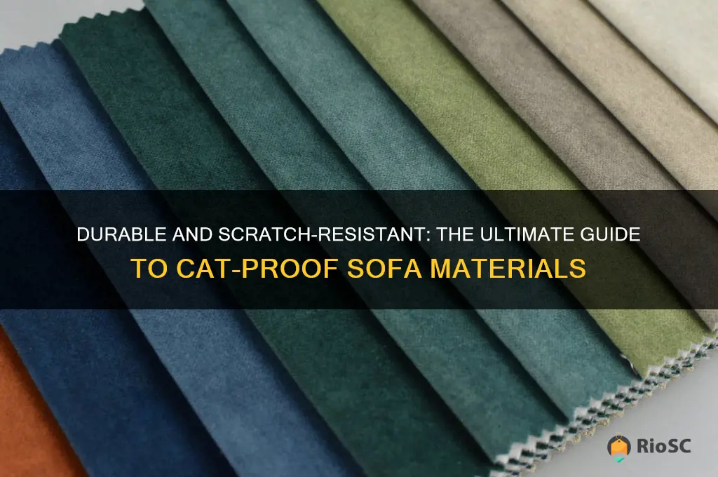 best cat proof sofa material