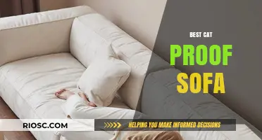 Ultimate Guide to Choosing the Best Cat-Proof Sofa: Durability, Style, and Scratch Resistance