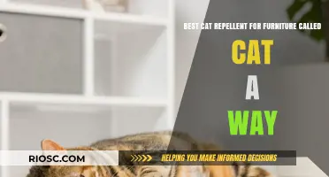 Discover the Ultimate Solution to Keep Your Furniture Safe: Cat A Way Repellent Review