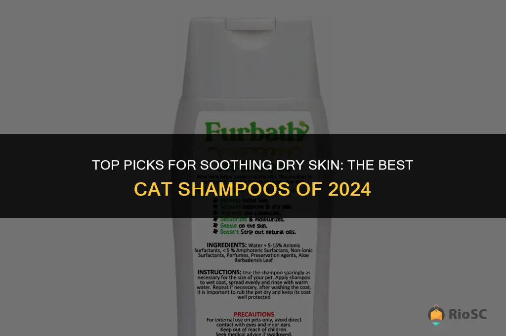 best cat shampoo dry skin