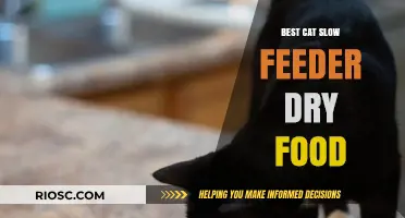 Revolutionize Your Feline's Feeding Time: Discover the Best Cat Slow Feeder for Dry Food
