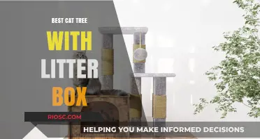 Ultimate Guide to the Best Cat Tree with Litter Box: Space-Saving Solutions for Happy Cats