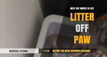 Purr-fectly Clean Paws: Top Cat Wipes to Remove Litter Easily