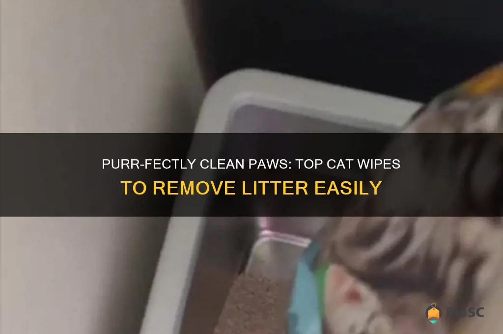 best cat wipes to get litter off paw