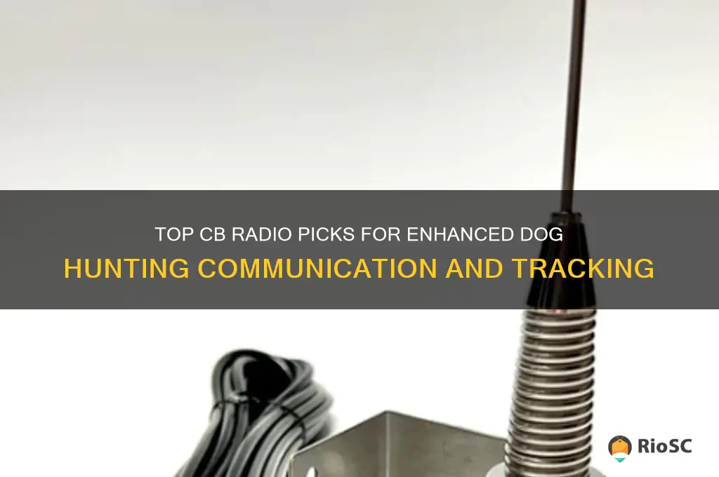 best cb radio for dog hunting
