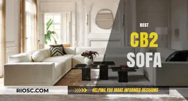 Top CB2 Sofa Picks: Stylish and Comfortable Options for Modern Living Spaces