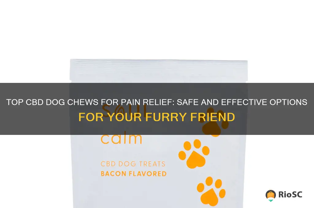 best cbd dog chews for pain