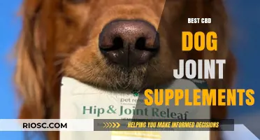 Top CBD Dog Joint Supplements for Enhanced Mobility and Pain Relief