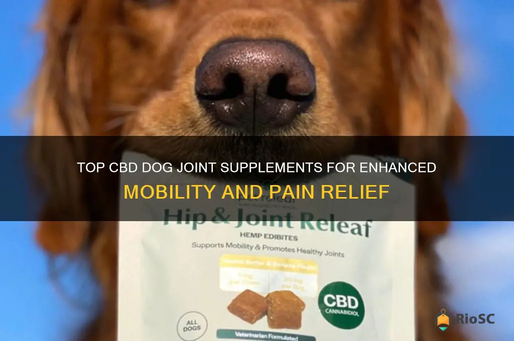 best cbd dog joint supplements