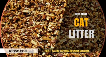 Top Picks for Eco-Friendly Pet Care: Discover the Best Cedar Cat Litter Options